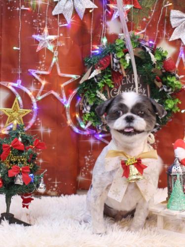 20231215大吉くん